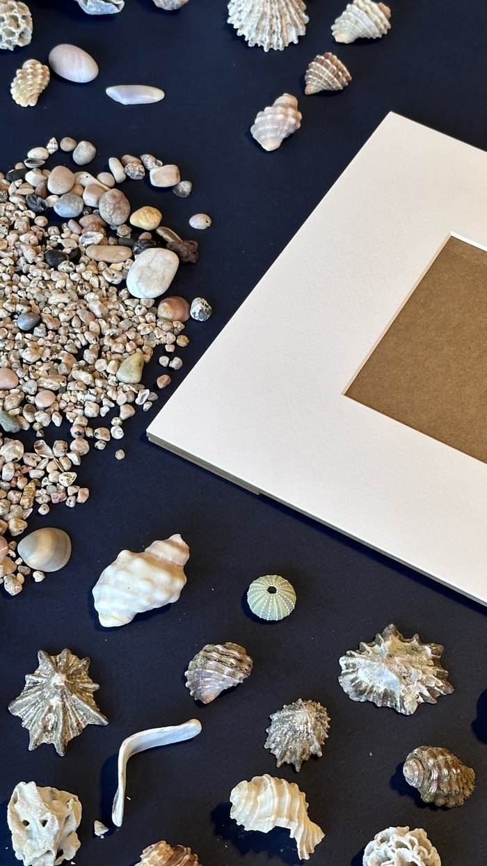 Collected shells and beach pebbles laid out around a white mat frame